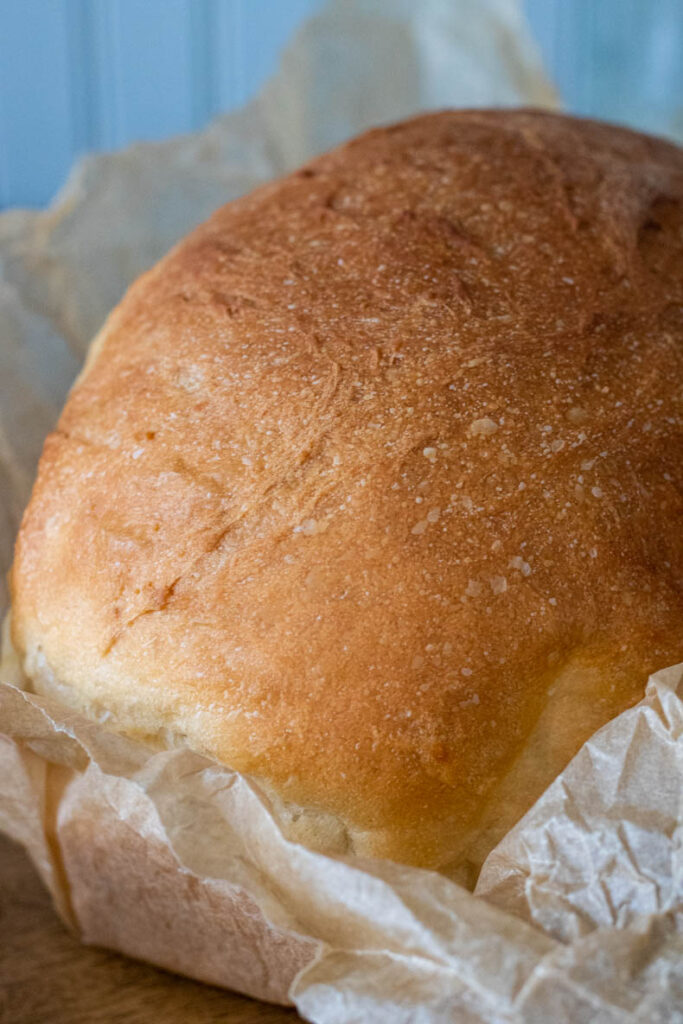 Fresh sourdough sandwich bread